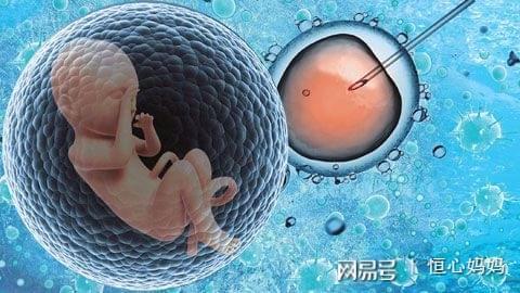 人工同志借卵代怀服务怎么找